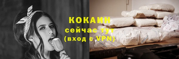 индика Белоозёрский