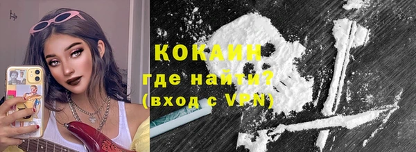 индика Белоозёрский