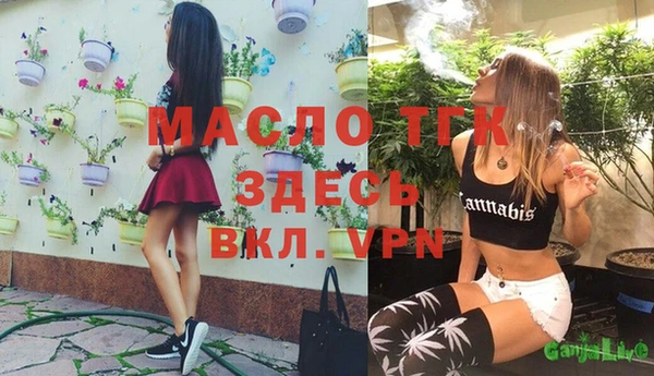индика Белоозёрский