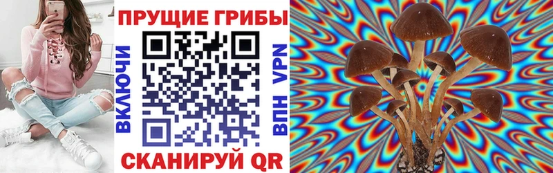Псилоцибиновые грибы MAGIC MUSHROOMS  hydra ссылки  Первомайск  купить  сайты 